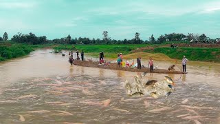 Fisherman Cast Net Fishing Real Life Amazing Fishing At Countryside.(Episode 137)