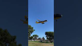 Jet Blue “Bear Force One” Boston Bruins livery landing at LAX #aviation #planespotting #airbus