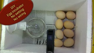 DIY Egg incubator in 5 minutes. Not require temperature settings and wiring