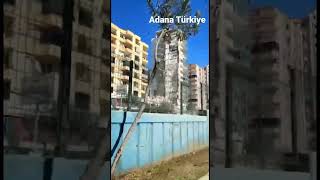 Adana #armnews #hayastan #հայաստանից #haykakan #shorts