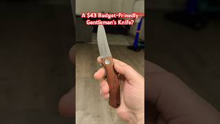 Why Have I Never Heard of This Knife???  And the Price is now $39?!?!?!