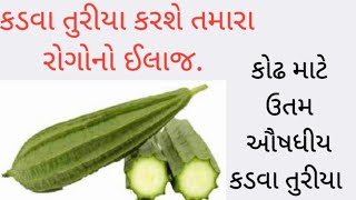 કડવા તુરિયાના આ પ્રયોગ કરી લ્યો દવાખાને જવાની જરૂર નહિ પડે. kat turiya ni ayurvedik upyogita