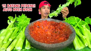 PESTA BATANG PEPAYA MENTAH ‼️ MUKBANG BATANG PEPAYA SAMBAL TERASI TANPA NASI