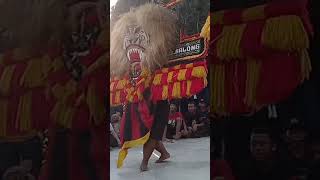 KEDATANGAN PEMBARONG MUDA GANTENG #reyog_ponorogo #reyog #shorts #reogponorogoasli #pembarongmuda