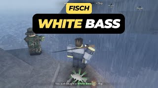 Where to Find White Bass in Roblox Fisch