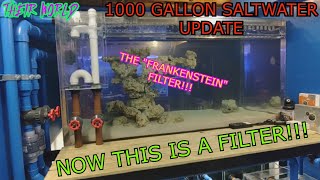 HUGE SALTWATER TANK NEARS COMPLETION // FRANKENSTEIN FILTER FINALLY TURNED ON!!! // WILL IT WORK???