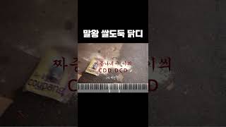 말왕 쌀도둑 닭디 절대음감 피아노 버전 #말왕 #닭디 #절대음감