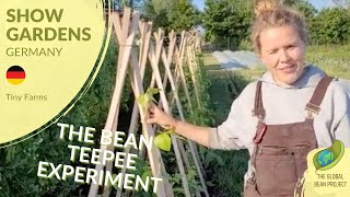 Postarella Technique for Pole Beans (June) – Tiny Farms 🇩🇪 #5 | Global Bean Show Gardens