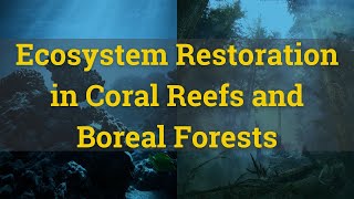 Justine Karst - Ecosystem restoration in coral reefs and boreal forests