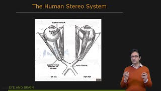 Stereo Vision in Nature | Uncalibrated Stereo