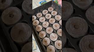 How To Put Seeds In Peat Pods. Add Water And Watch Plants And Pods Grow