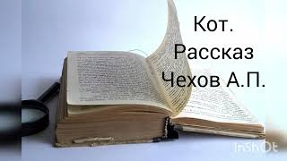 Чехов А.П. Рассказ. Кот