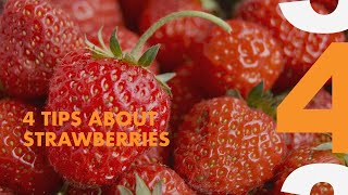 4 TIPS about STRAWBERRIES | Cooking for Baby & Me