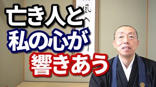 亡き人と私の心が響きあう　ショート法話(397)