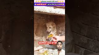 Doggy ko Shikari Jaal se bachaya respect video 🐕 #dog #voicelessanimals #animals #anime #trending