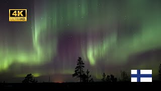 CHASING THE AURORA BOREALIS (NORTHERN LIGHTS) IN ROVANIEMI FINLAND (October 2023) (4K)