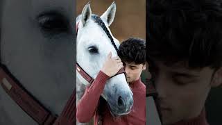 Top 3 most loyal animals to human #trendingshorts #shorts #youtubrshorts #viralshorts