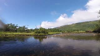 GOPR2025 Kinglas Water upstream of effluent 6 Aug 2023