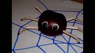 Поделка пучок из каштана. HANDMADE spider