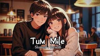 Tum Mile [Slowed +Reverb] - Javed Ali ( ​⁠@tmgrupan )