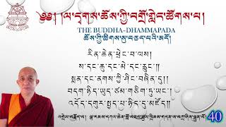 Day-40 The Buddha-Dhammapada  ཆོས་ཀྱི་ཚིགས་སུ་བཅད་པའི་མདོ། དཀའ་ཆེན་ཚུལ་ཁྲིམས། ལ་དྭགས་ཀྱི་སྐད།