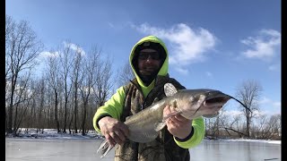 Fishing for Ditch Pickles in a Ditch