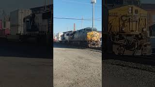 CSX operation Lifesaver 4568 Trails on Intermodal train