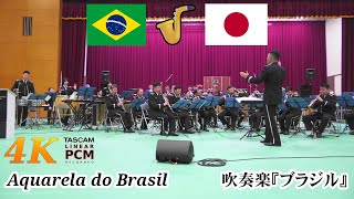 Aquarela do Brasil 🎷 Japanese Air Force Band 🇧🇷🇯🇵