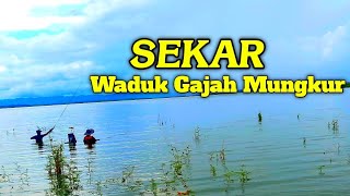 SEKAR WADUK GAJAH MUNGKUR