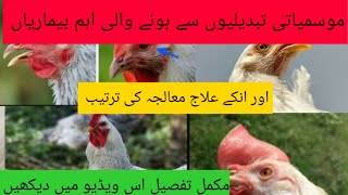 poultry birds treatment disease in weather changes | murgiyon ki bimari ka ilaj | DR.M.ASIF