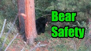 Mountain Lion Encounters and Bear Safety