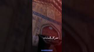 ياعلي عيونك محطات |الرادود مسلم الوائلي |