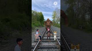 Gta_5_bigfoot_monkey_and_dog_attack___fighting_🚜_funny_vfx_magic_viral_video_#trending_(360p)