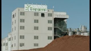 TAMPIERI CORPORATE