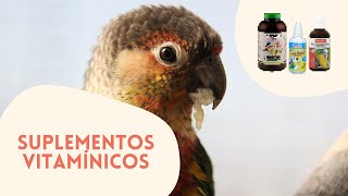 SUPLEMENTOS VITAMÍNICOS PARA LOROS | ¿RECOMENDABLES? ¿CÓMO USARLOS?