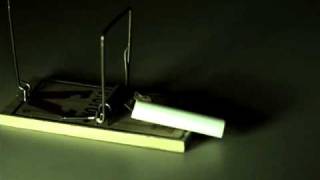 High Speed Light with Color Camera - Mouse trap and chalk