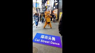 【Korea韩国】【Original原装】Cat street dance so nice | 猫街头舞跳得好 | 명동대한민국