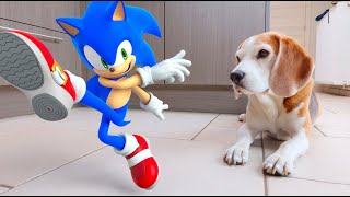 Sonic Comes to Life: A Real-Life Animation Adventure