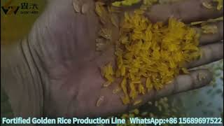 Nutritional Golden Rice/Fortified Rice Production Line with 200kg/h capacity