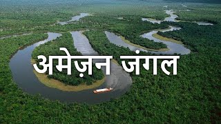 Top 10 DEADLIEST Animals Of The Amazon Forest | अमेज़न जंगल के 10 सबसे खतरनाक जानवर