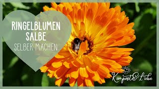 Ringelblumensalbe, selbst gemacht 👍 2 Rezepte, VEGAN! Anleitung und Tipps Calendula Salbe