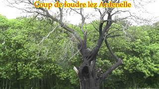 Coup de foudre lez Ardenelle