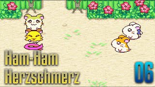 Hamtaro - Ham Ham Herzschmerz [06] - Böses Didu!