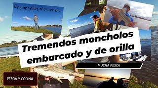 Una LOCURA😮 los MONCHOLOS que salieron COCINA  Y PESCA en puerto 🔥