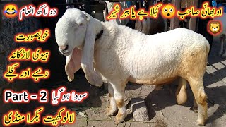 Lalukhet Bakra Mandi Latest Update 2023 | Top Quality Larkana Dumby Or Kajly | Bakra Mandi 2023 |