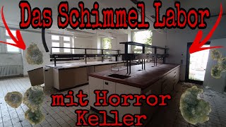 DAS SCHIMMEL LABOR | 🔥 LOST PLACE 🔥