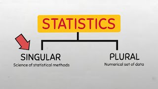 What does Statistics mean in Singular form?