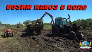 Вывозим навоз в поле под #картофель