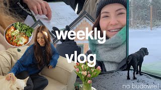 WEEKLY VLOG // się pozmieniało! / idę zeznawać na policje *storytime*🙈/ budowa domu / postępy Koko//