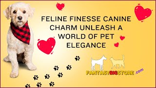 Pet Elegance Tailored for Life | fantasybigstore.com | Because Every Pet Deserves the Extraordinary